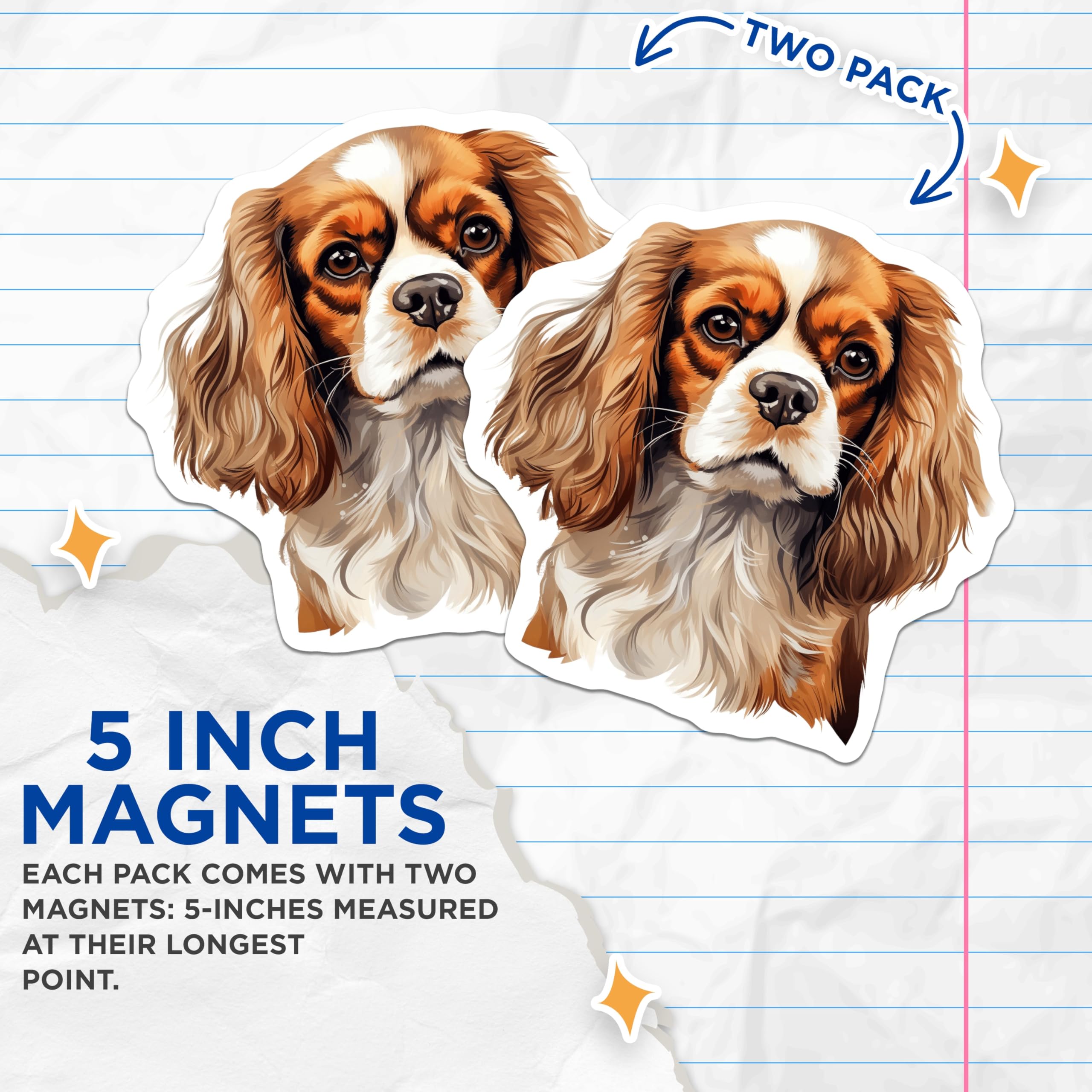 (2 Pack) Cavalier King Charles Spaniel Magnets - Dog Lover Fridge Decor - Pet Owner Refrigerator Accessory - 5 Inches On Longest Side - Thick Durable Magnet - Made in USA - MAG28917