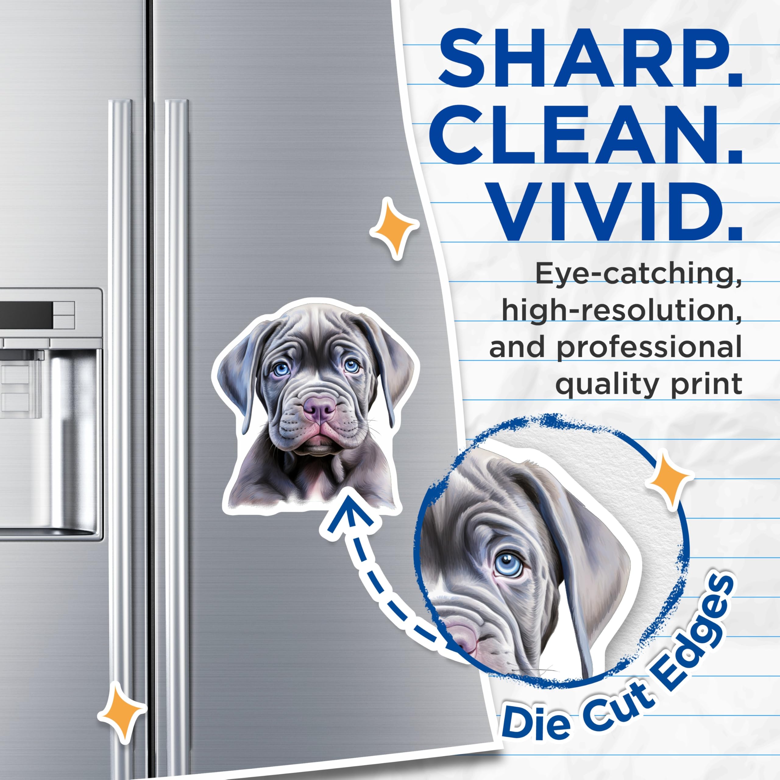 (2 Pack) Neapolitan Mastiff Puppy Magnets - Wrinkly Dog Lover Decor - Blue Eyed Dog Art - 5 Inches On Longest Side - Thick Durable Magnet - Made in USA - MAG26534