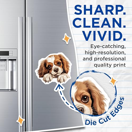 (2 Pack) Animal Fridge Decor Magnet - 5" On Longest Side - Sticks to Smooth Flat Surfaces - Made in USA - MAG10191