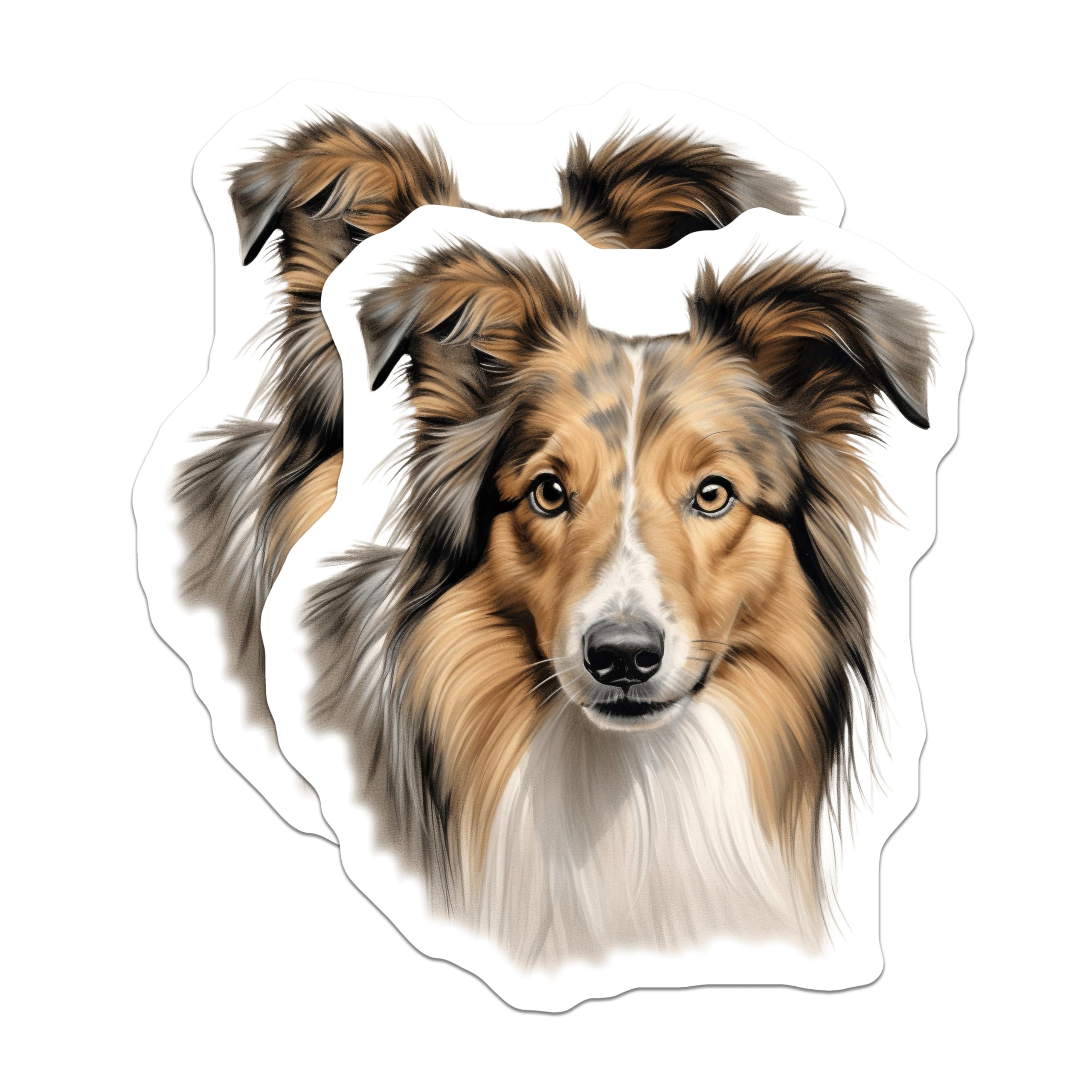 (2 Pack) Shetland Sheepdog Magnets - Sheltie Dog Art - Canine Lover Decor - Animal Breed Fridge Accessory - Pet Owner Idea - 5 Inches On Longest Side - Thick Durable Magnet - Made in USA - MAG23696