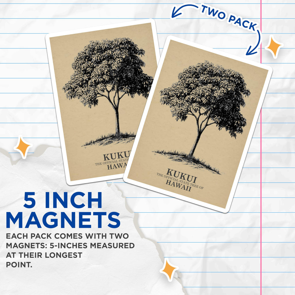 (2 Pack) Kukui Tree Magnets - Hawaiian State Tree - Nature Botanical Refrigerator Magnets - 5" On Longest Side - Premium Magnet - for Cars, Refrigerators, Toolboxes, Lockers - Made in USA - MAG18089