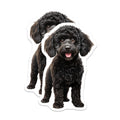 (2 Pack) Black Poodle Magnets - Puppy Dog Decor - Pet Lover Refrigerator Accessory - Animal Art Collectible - 5 Inches On Longest Side - Thick Durable Magnet - Made in USA - MAG24547