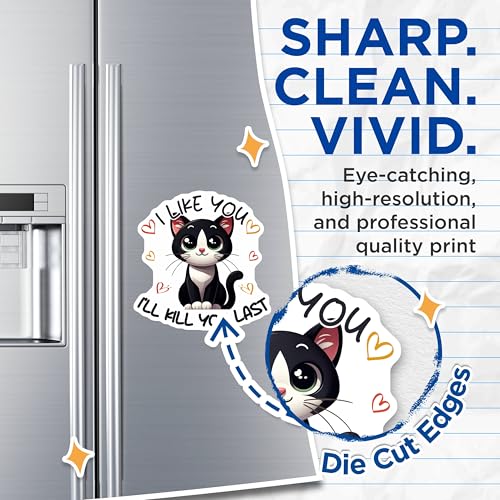 (2 Pack) I Like You I'll Kill You Last Magnets - Funny Cat Quote - Cute Kitty Decor - 5" On Longest Side - for Cars, Fridges, Toolboxes - Made in USA - MAG7352