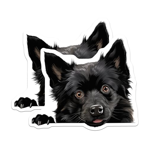 (2 Pack) Pet Lover Magnet - Animal Art - 5" On Longest Side - Sticks to Smooth Flat Surfaces - Made in USA - MAG10270