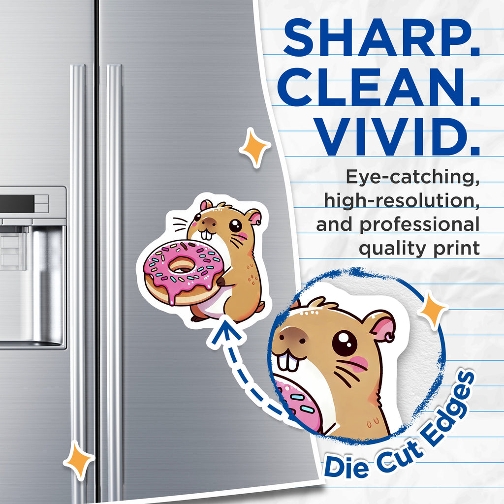 (2 Pack) Cute Hamster Donut Magnets - Kawaii Refrigerator Decor - Adorable Animal Lover Kitchen Accessories - 5 Inches On Longest Side - Thick Durable Magnet - Made in USA - MAG39239