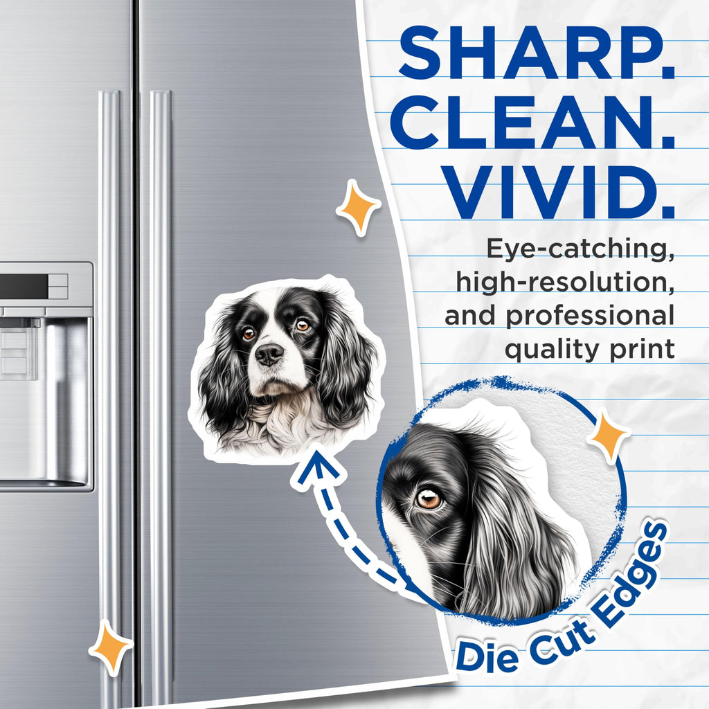 (2 Pack) Cavalier King Charles Spaniel Magnets - Dog Breed Lover Art Decor - Pet Animal Fridge Locker Magnets - 5 Inches On Longest Side - Thick Durable Magnet - Made in USA - MAG25848