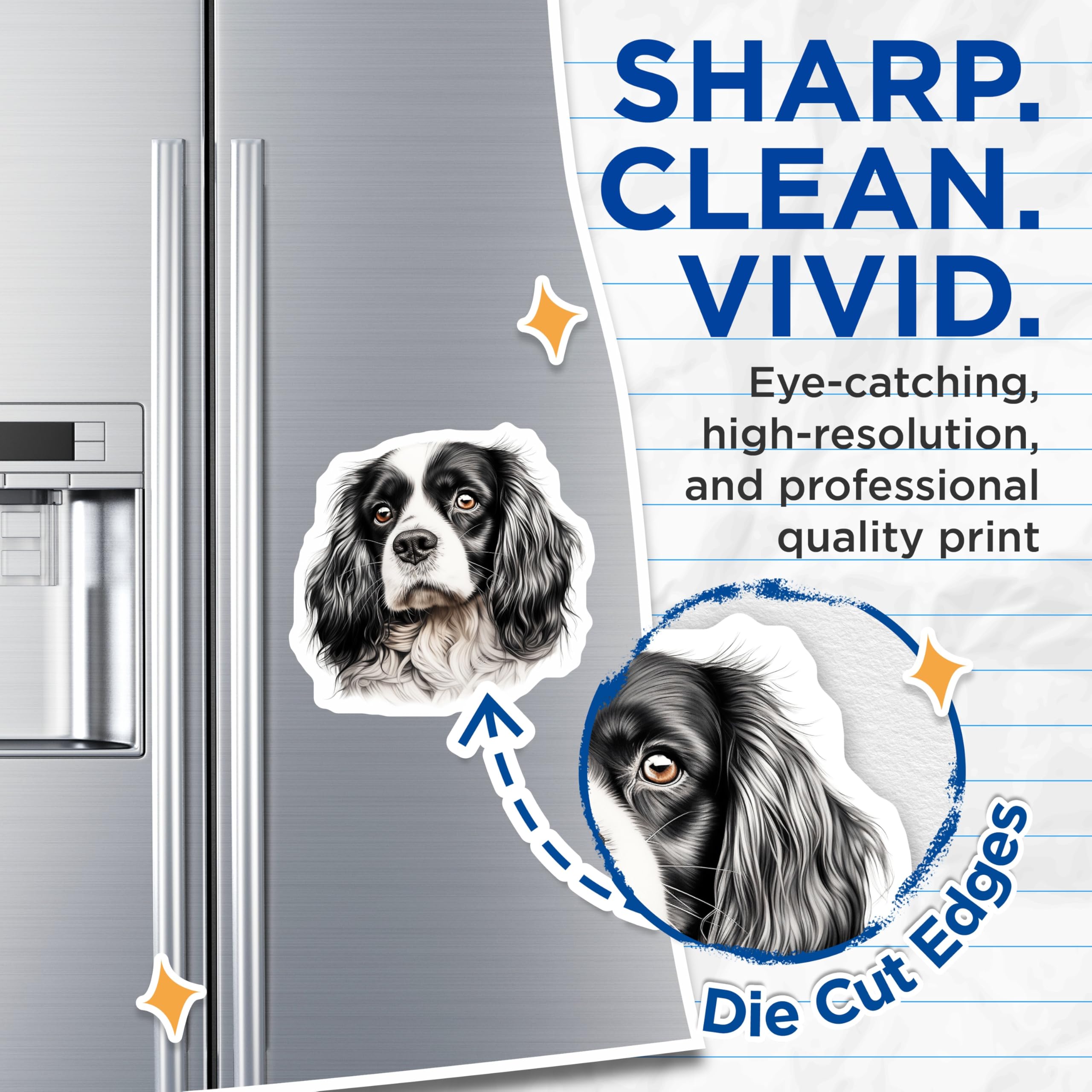 (2 Pack) Cavalier King Charles Spaniel Magnets - Dog Breed Lover Art Decor - Pet Animal Fridge Locker Magnets - 5 Inches On Longest Side - Thick Durable Magnet - Made in USA - MAG25848