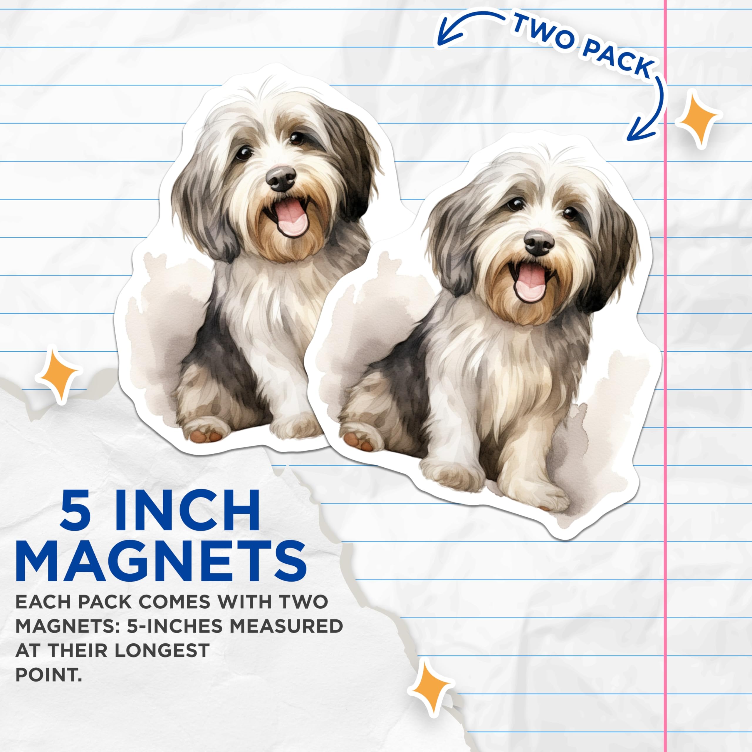 (2 Pack) Havanese Dog Magnets - Adorable Pet Lover Accessory - Fridge Locker Decor - 5 Inches On Longest Side - Thick Durable Magnet - Made in USA - MAG30608