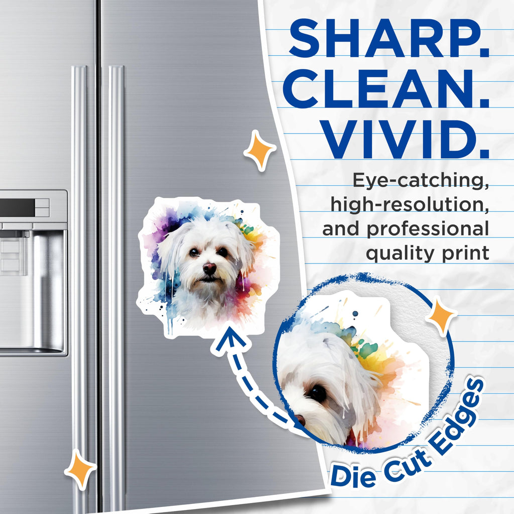 (2 Pack) Watercolor Maltese Dog Magnets - Cute Pet Art - Dog Mom Kitchen Decor - 5 Inches On Longest Side - Thick Durable Magnet - Made in USA - MAG25362