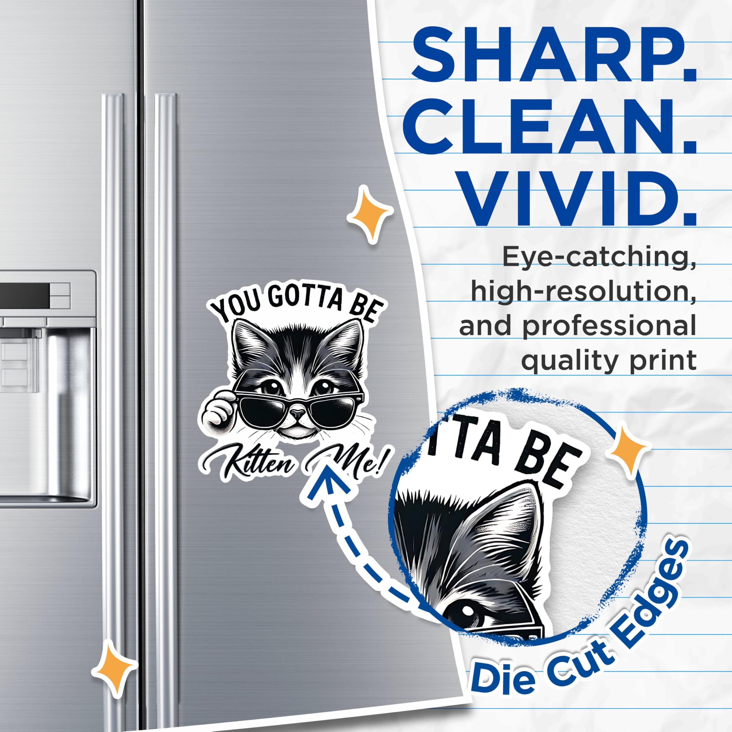 (2 Pack) Cat Magnets - Funny Cat Saying Magnets - Cute Cat Decor Magnets- 5" On Longest Side - for Fridges, Toolboxes, Cars - Made in USA - MAG2794