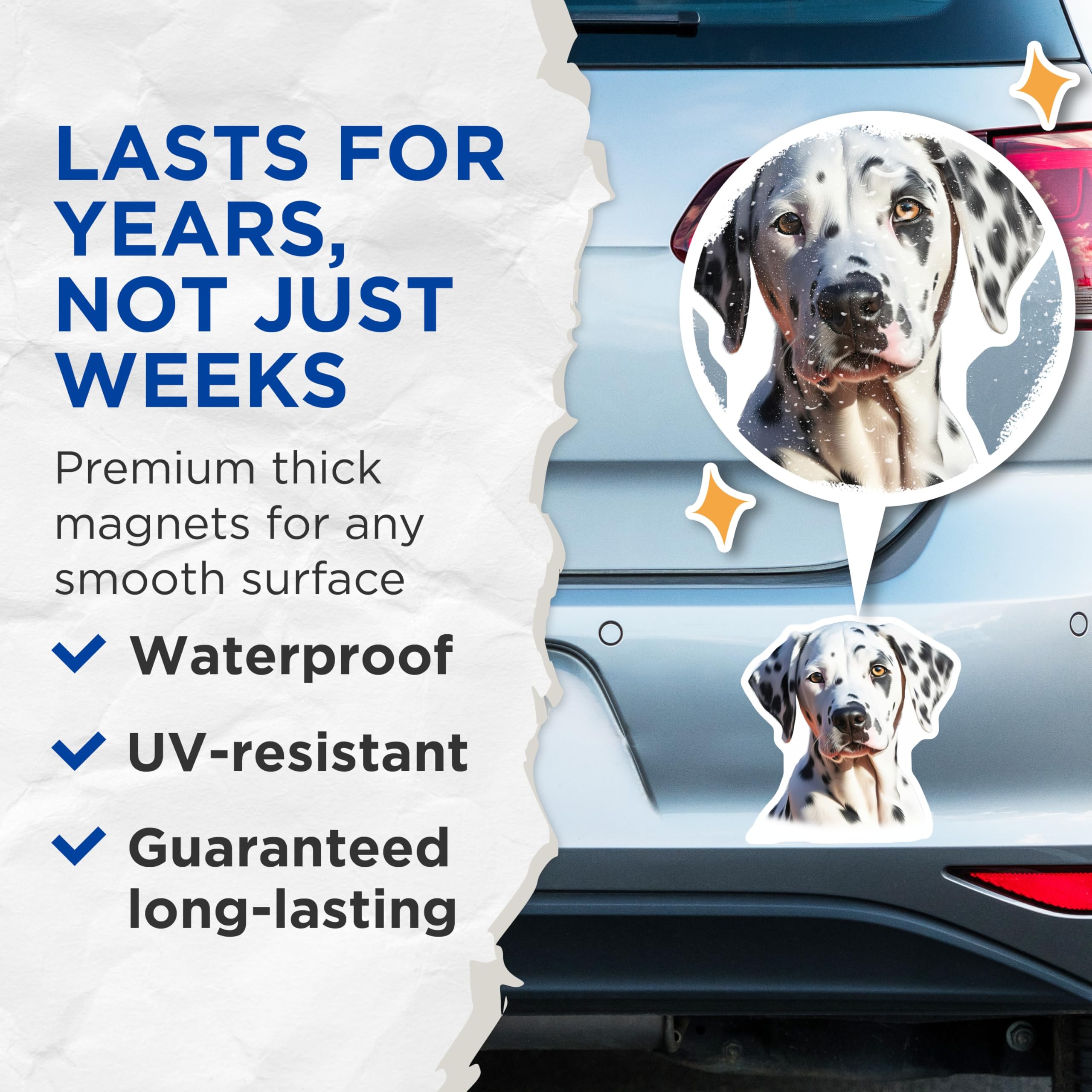 (2 Pack) Dalmatian Dog Magnets - Black White Spotted Puppy Decor - Animal Lover Pet Portrait Magnet - 5 Inches On Longest Side - Thick Durable Magnet - Made in USA - MAG24625