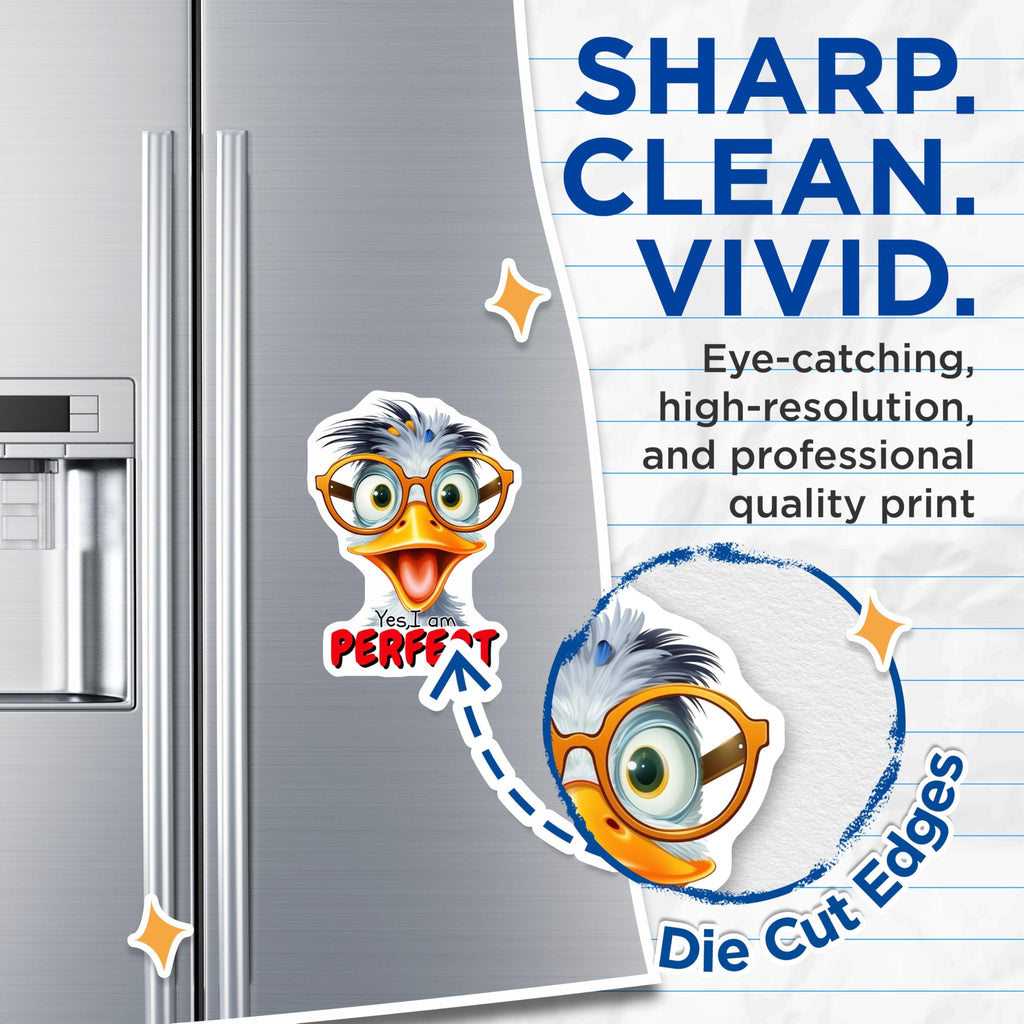 (2 Pack) Quirky Cartoon Duck Magnets - Eyeglasses Animal Character Art - Sarcastic Quote Refrigerator Locker Decor - 5 Inches On Longest Side - Thick Durable Magnet - Made in USA - MAG21793