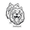 (2 Pack) Samoyed Dog Stickers - Cute Dog Breed Stickers - Samoyed Dog Lovers Decal - 5" On Longest Side - Sticks to Smooth Flat Surfaces - Made in USA - BMCS4024