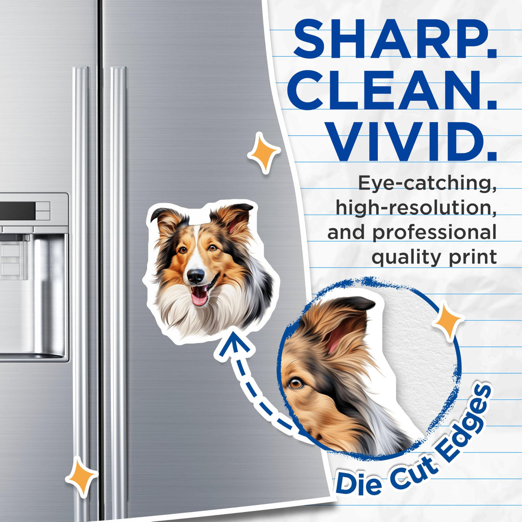 (2 Pack) Shetland Sheepdog Magnets - Happy Sheltie Dog Art - Collie Lover Refrigerator Decor - 5 Inches On Longest Side - Thick Durable Magnet - Made in USA - MAG26398