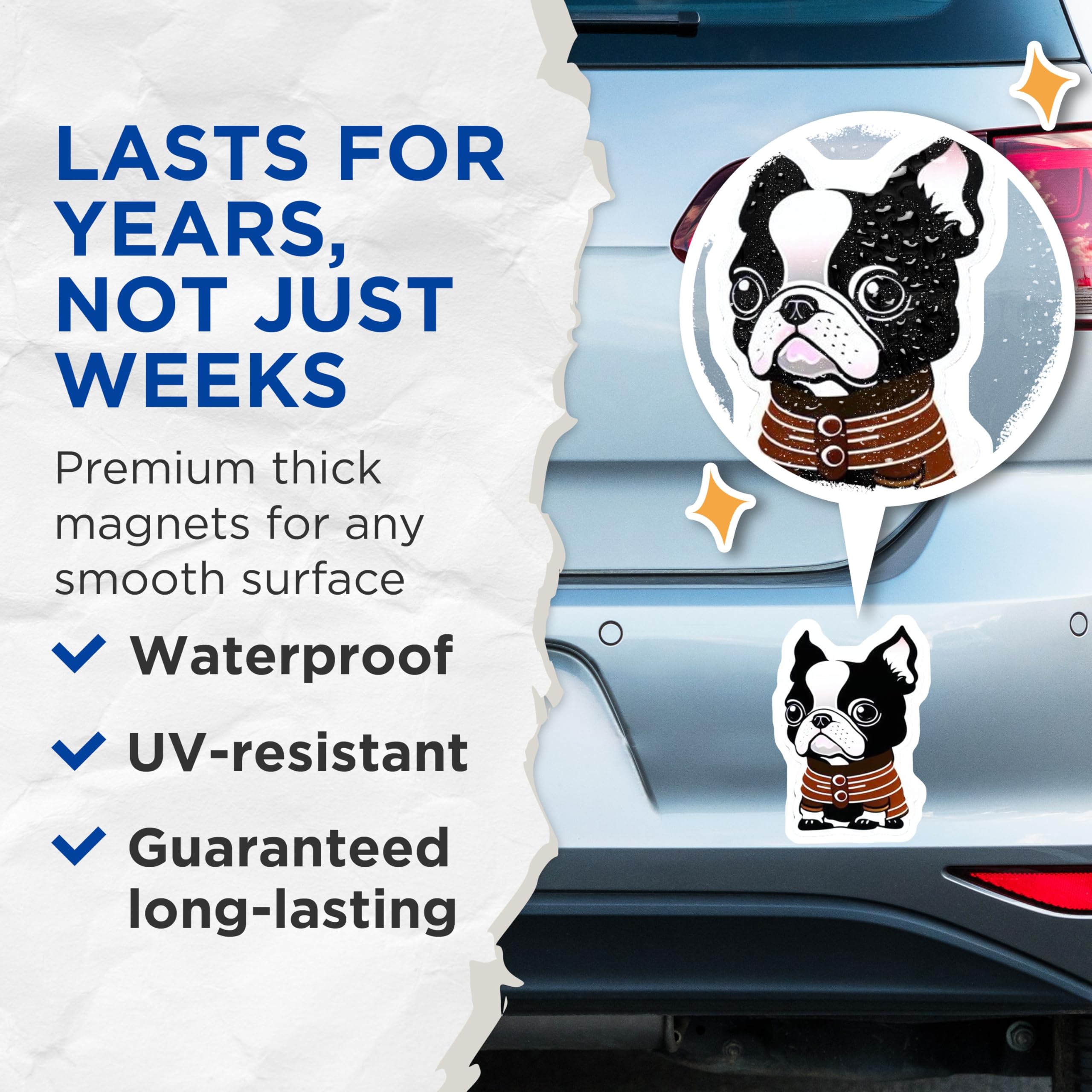 (2 Pack) Boston Terrier Magnets - Cute Puppy Fridge Decor - Dog Lover Magnet Set - Animal Art Collection - 5 Inches On Longest Side - Thick Durable Magnet - Made in USA - MAG20448