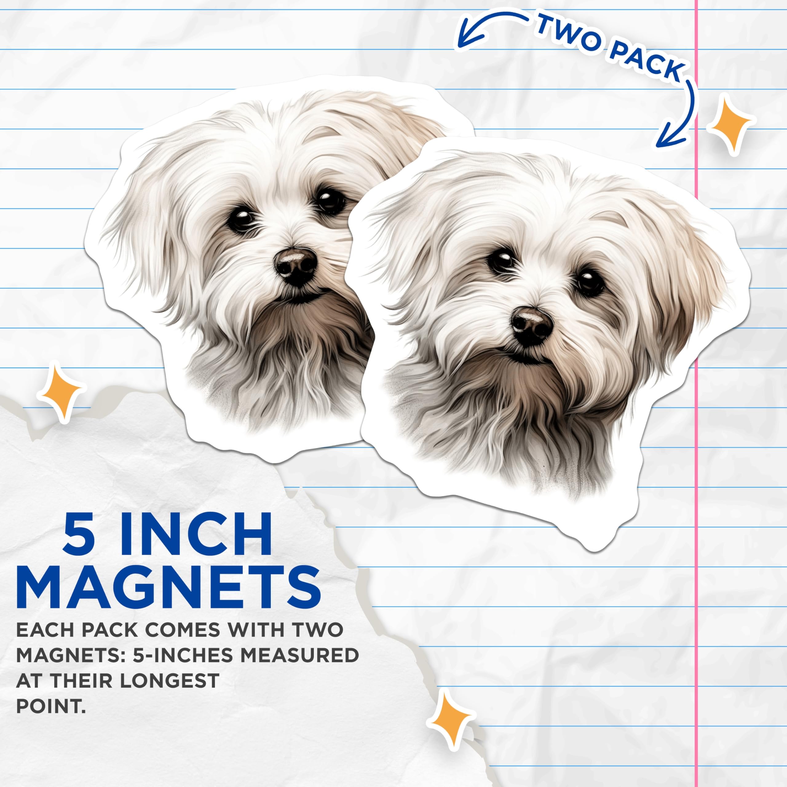(2 Pack) Maltese Dog Magnets - Fluffy White Puppy Art - Dog Lover Kitchen Decor - 5 Inches On Longest Side - Thick Durable Magnet - Made in USA - MAG24428