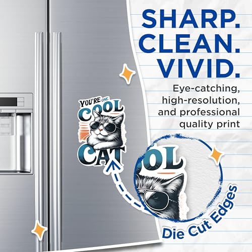 (2 Pack) Cool Cat Magnets - Funny Cat Magnets - Cat Lover Gift Magnets - Unique Cat Decor Magnets- 5" On Longest Side - for Fridges, Toolboxes, Cars - Made in USA - MAG2655