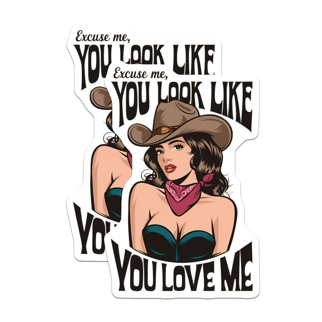 (2 Pack) Sassy Cowgirl Magnets - Retro Pop Art Decor - Flirty Quote Refrigerator Magnet - 5 Inches On Longest Side - Thick Durable Magnet - Made in USA - MAG21366