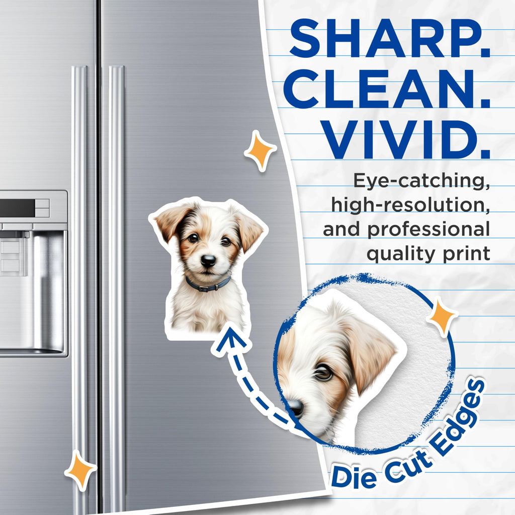(2 Pack) Adorable Puppy Magnets - Fluffy Dog Fridge Magnets - Cute Animal Lover Decor Accents - 5 Inches On Longest Side - Thick Durable Magnet - Made in USA - MAG24394