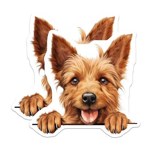(2 Pack) Kitchen Decor Magnet - Animal Lover Gift - 5" On Longest Side - Sticks to Smooth Flat Surfaces - Made in USA - MAG9840