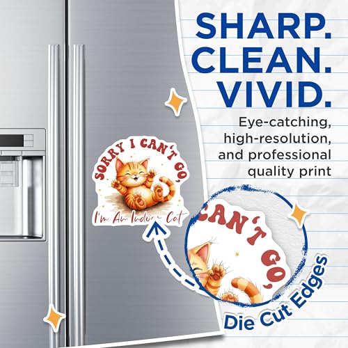 (2 Pack) Sorry I Can't Go Magnets - I'm an Indoor Cat - Cute Cat Lover Magnets - 5" On Longest Side - for Cars, Fridges, Toolboxes - Made in USA - MAG4242