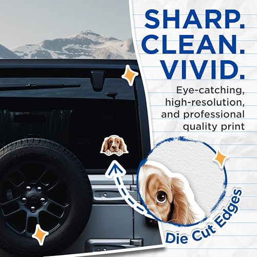 (2 Pack) Cute Dog Stickers - Adorable Puppy Decal - Cocker Spaniel Art Sticker - 5" On Longest Side - Sticks to Smooth Flat Surfaces - Made in USA - BMCS9820