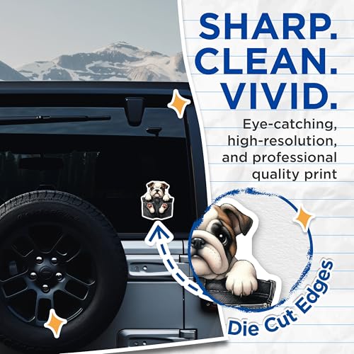 (2 Pack) Cute Bulldog Stickers - Dog Lover Decal - Adorable Puppy Sticker - 5" On Longest Side - Sticks to Smooth Flat Surfaces - Made in USA - BMCS3954
