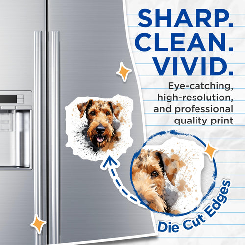 (2 Pack) Airedale Terrier Magnets - Watercolor Dog Art - Pet Lover Refrigerator Decor for Dog Owners - 5 Inches On Longest Side - Thick Durable Magnet - Made in USA - MAG27866