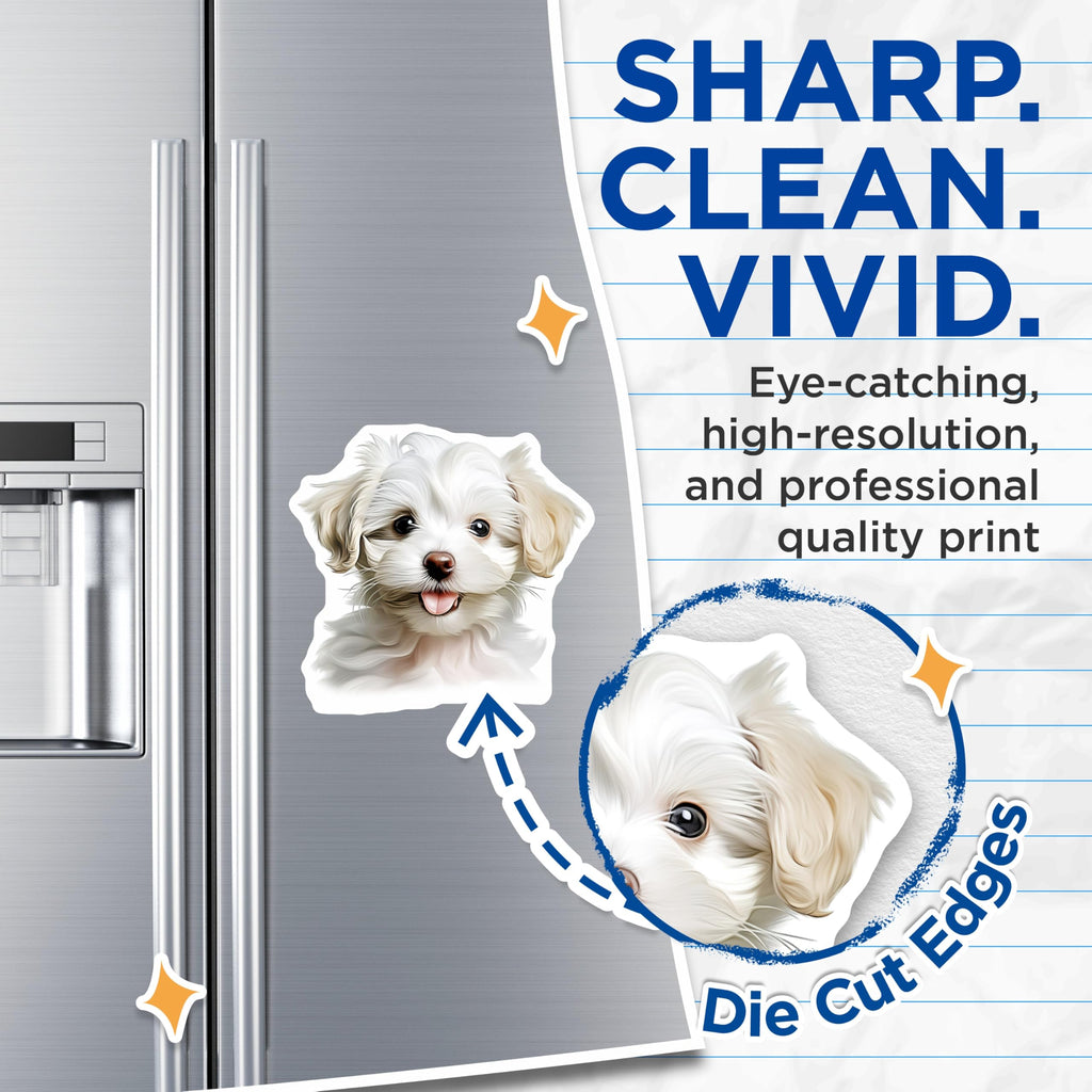 (2 Pack) Maltese Puppy Magnets - Cute Fluffy Dog Lover Decor - Charming Pet Refrigerator Locker Accent - 5 Inches On Longest Side - Thick Durable Magnet - Made in USA - MAG24481