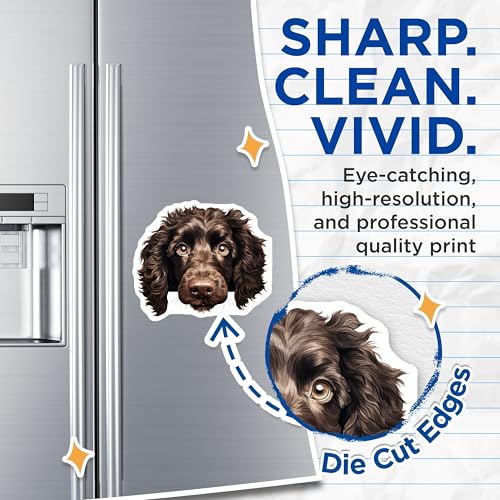 (2 Pack) Animal Fridge Decoration Magnet - 5" On Longest Side - Sticks to Smooth Flat Surfaces - Made in USA - MAG9828