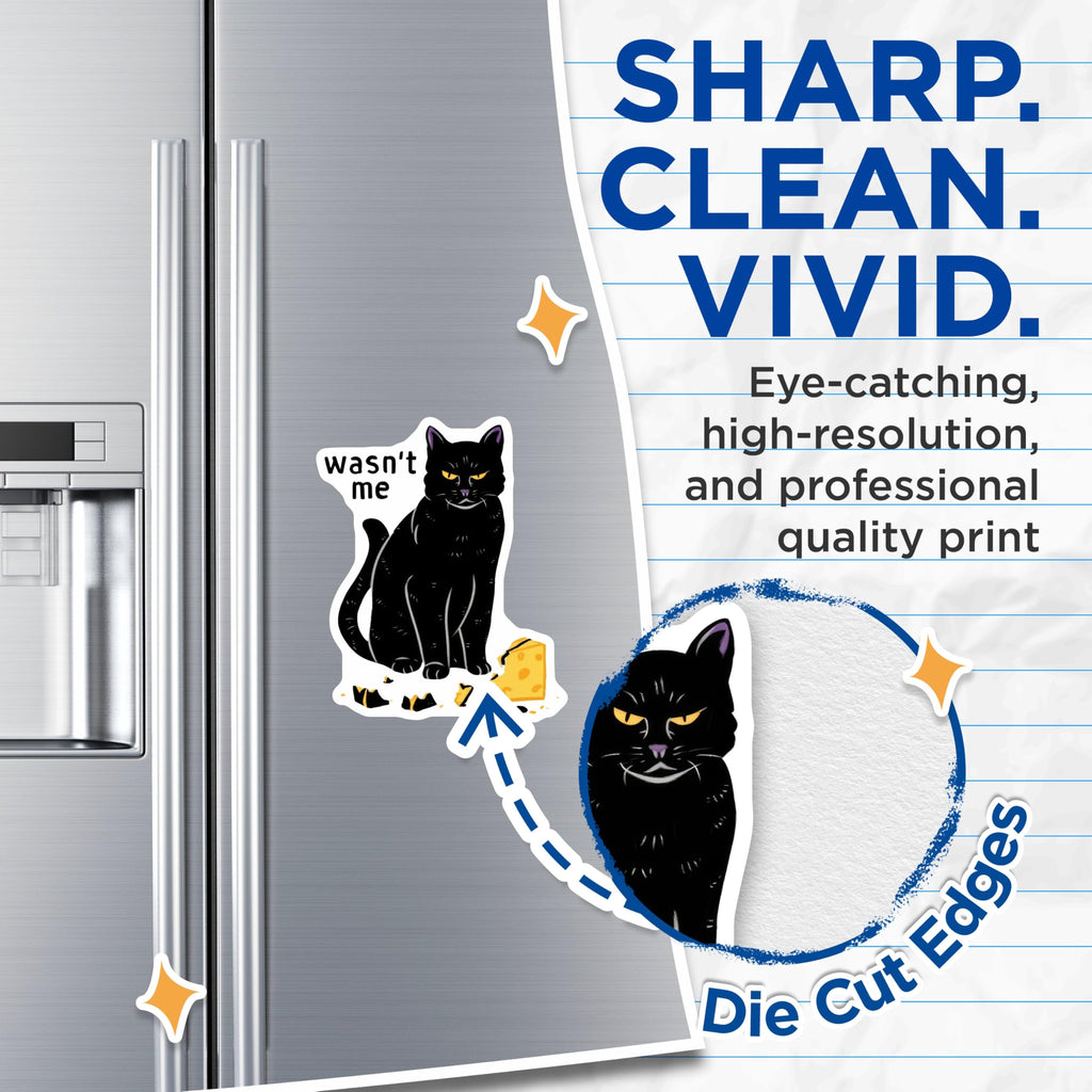(2 Pack) Black Cat Magnets - Funny Cat - Cheese Humor - 5" On Longest Side - Premium Magnet - for Cars, Refrigerators, Toolboxes, Lockers - Made in USA - MAG16433
