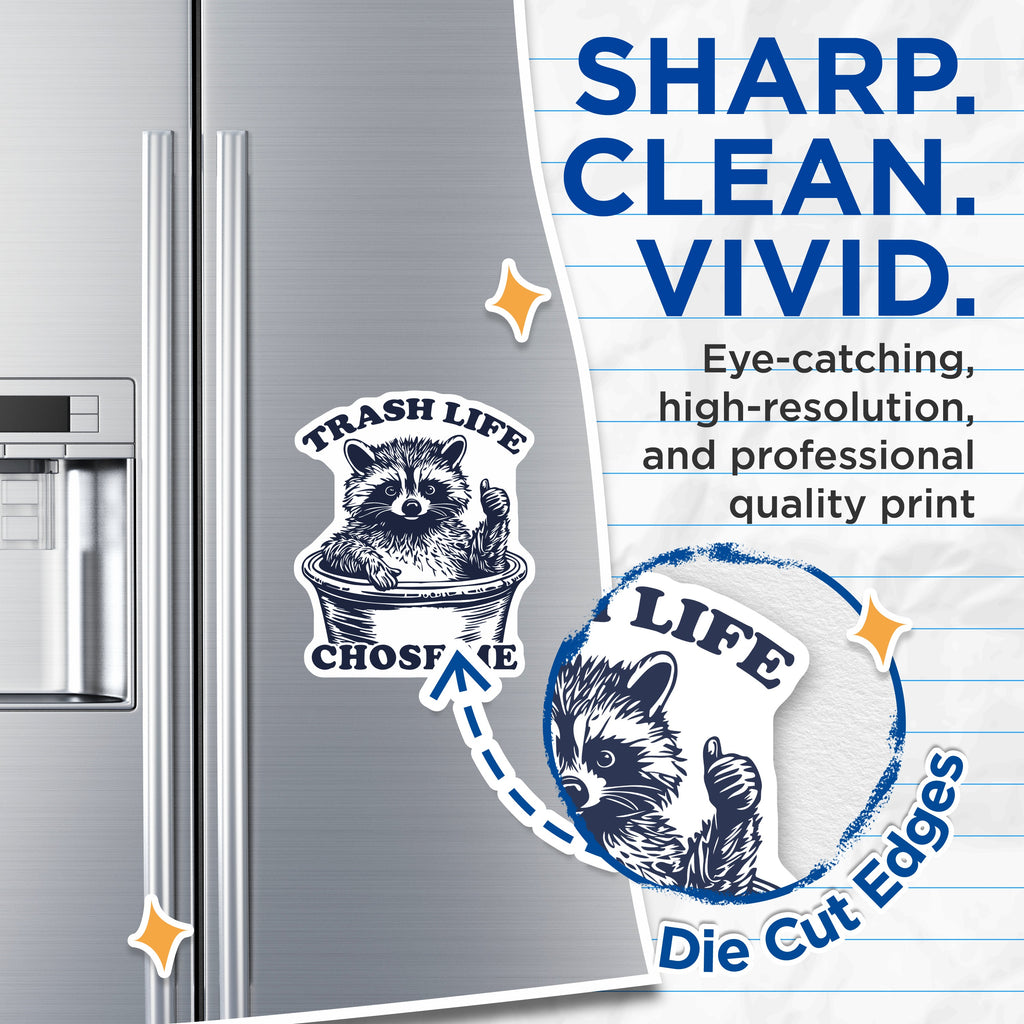 (2 Pack) Raccoon Magnets - Trash Panda Humor - Sarcastic Animal Decor for Fridge - 5 Inches On Longest Side - Thick Durable Magnet - Made in USA - MAG39659