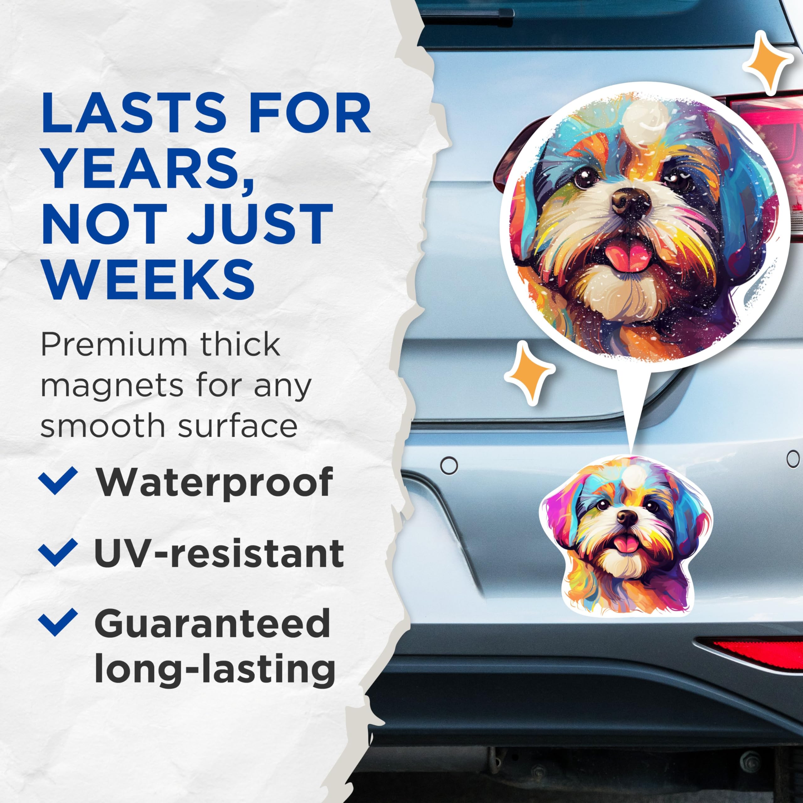 (2 Pack) Shih Tzu Dog Breed Magnets - 5 Inches On Longest Side - Choose from Over 100 Dog Breeds - for Cars, Refrigerators, Toolboxes - Made in USA - MAG1951