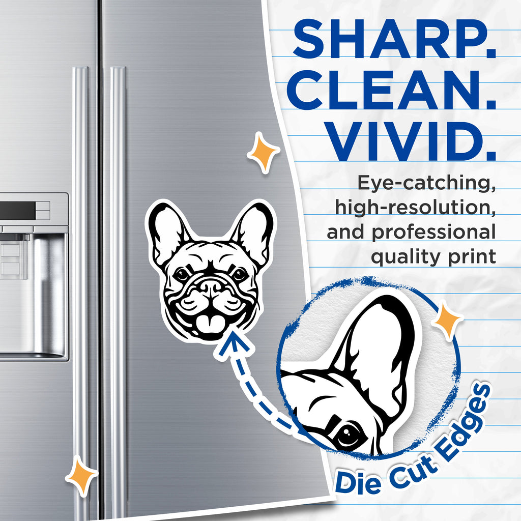 (2 Pack) French Bulldog Magnets - Frenchie Dog Decor - Pet Owner Refrigerator Art - 5 Inches On Longest Side - Thick Durable Magnet - Made in USA - MAG37233