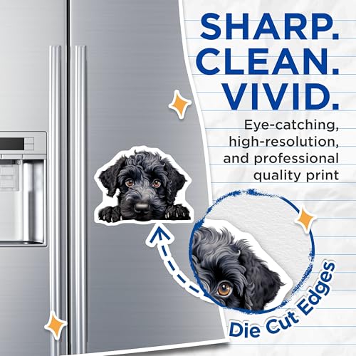 (2 Pack) Animal Lover Decor Magnet - 5" On Longest Side - Sticks to Smooth Flat Surfaces - Made in USA - MAG10208