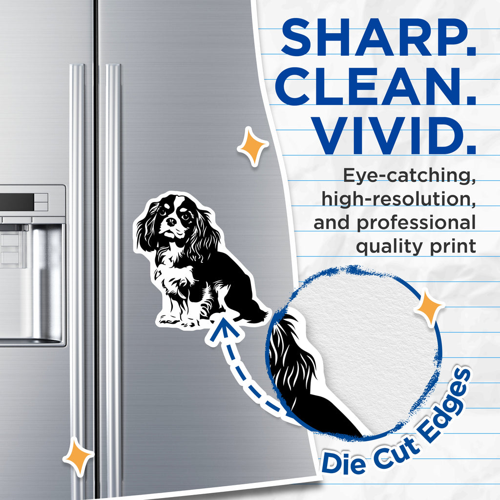 (2 Pack) Cavalier King Charles Spaniel Magnets - Dog Mom Dad Accent - Pet Lover Refrigerator Decor - 5 Inches On Longest Side - Thick Durable Magnet - Made in USA - MAG38383