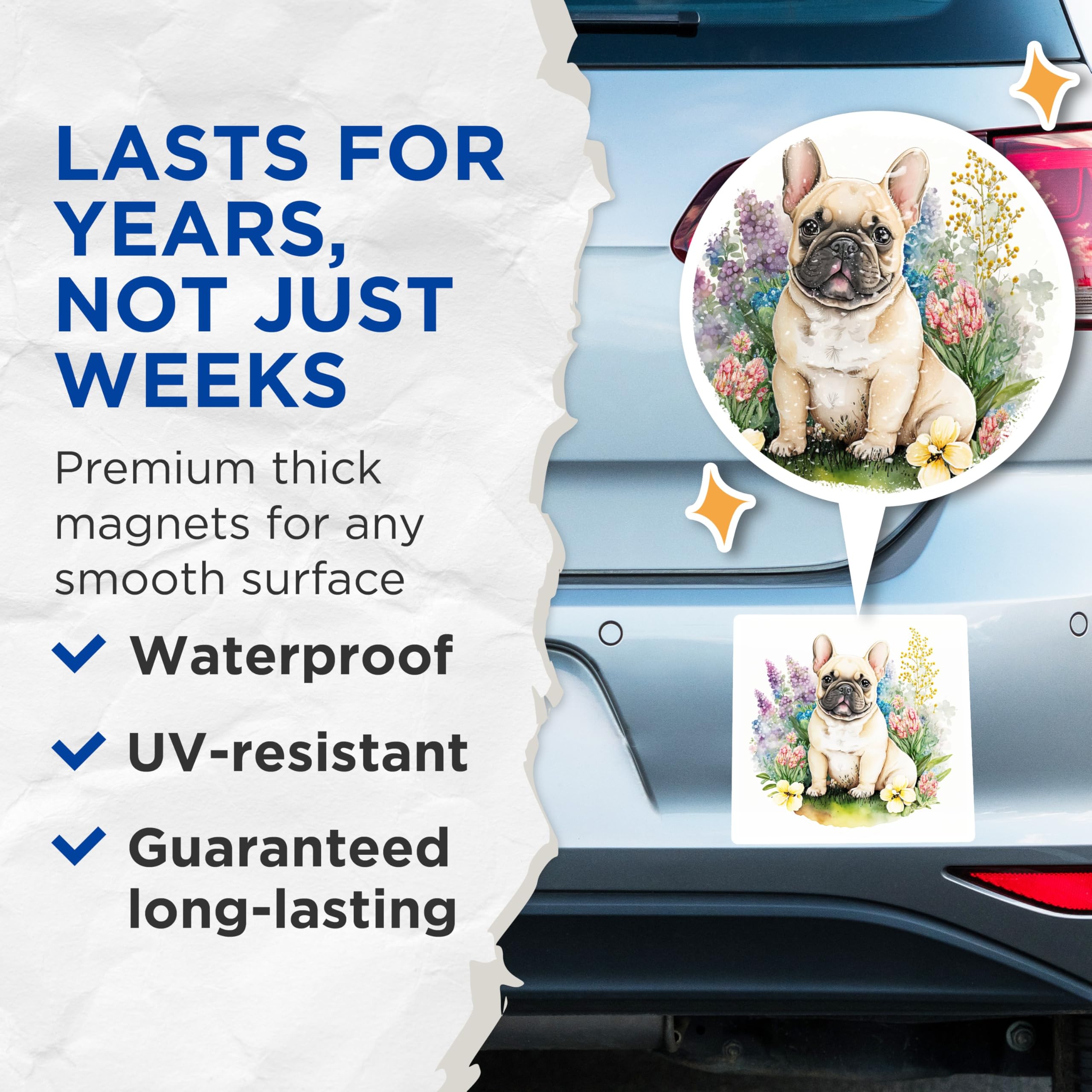 (2 Pack) French Bulldog Magnets - Cute Dog Floral Decor - Animal Lover Home Accessories - 5" On Longest Side - Premium Magnet - for Cars, Refrigerators, Toolboxes, Lockers - Made in USA - MAG14726