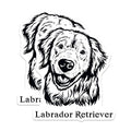 (2 Pack) Labrador Retriever Magnets - Dog Lover Accessories - Cute Animal Fridge - 5" On Longest Side - for Cars, Fridges, Toolboxes - Made in USA - MAG4014