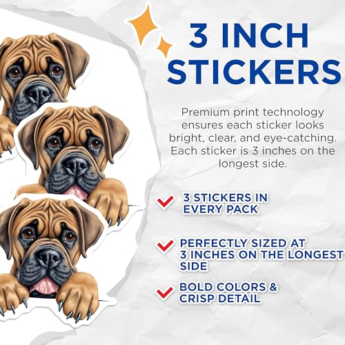 (3 Pack) Bullmastiff Decals - Puppy Dog Stickers - Adorable Dog Breed - 3 Inches On Longest Side - Easy Peel & Apply - Made in USA - 3MCS8641