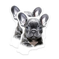 (2 Pack) French Bulldog Puppies Magnets - Cute Dog Refrigerator Magnets - Pet Lover Decor for Dog Owners - 5 Inches On Longest Side - Thick Durable Magnet - Made in USA - MAG30407