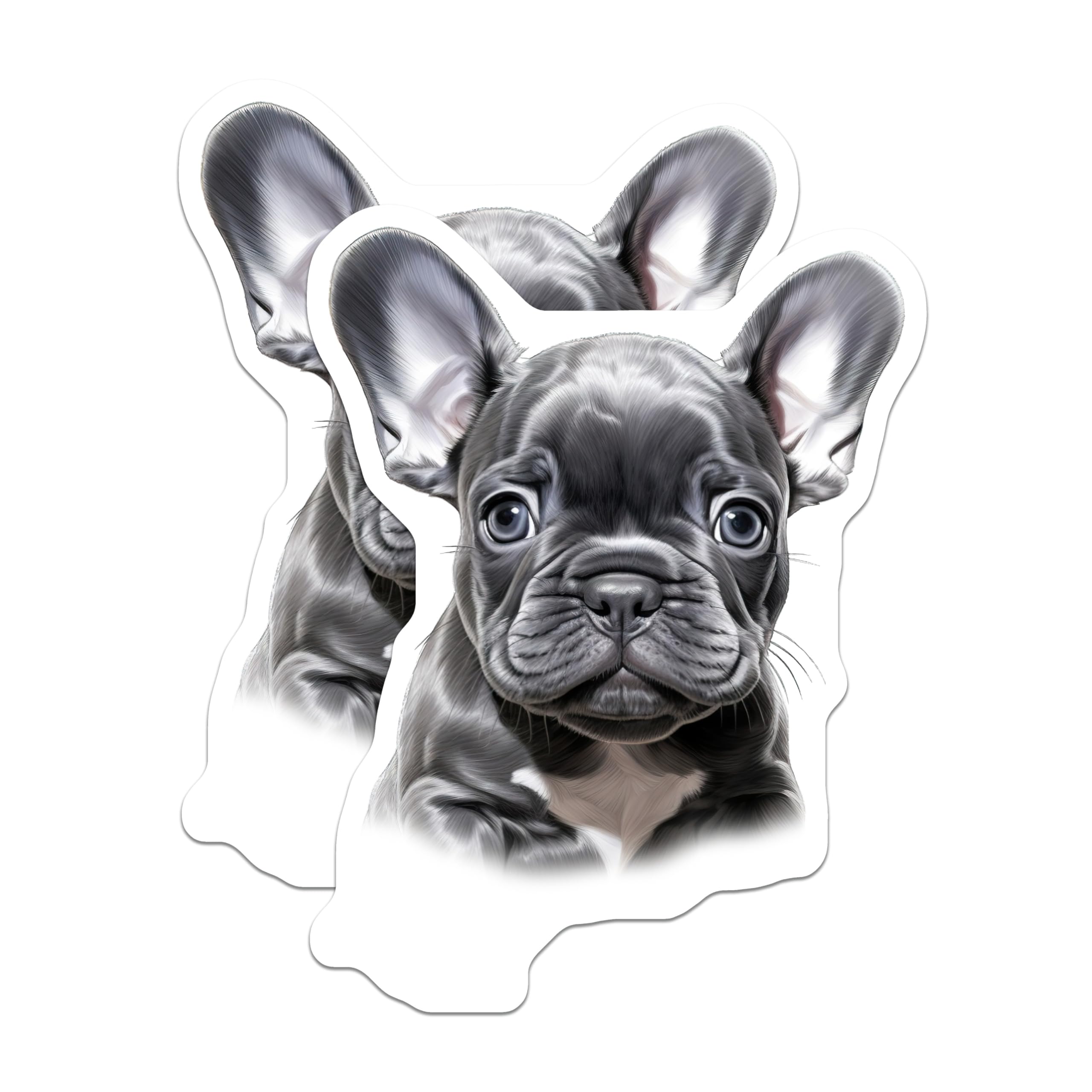 (2 Pack) French Bulldog Puppies Magnets - Cute Dog Refrigerator Magnets - Pet Lover Decor for Dog Owners - 5 Inches On Longest Side - Thick Durable Magnet - Made in USA - MAG30407