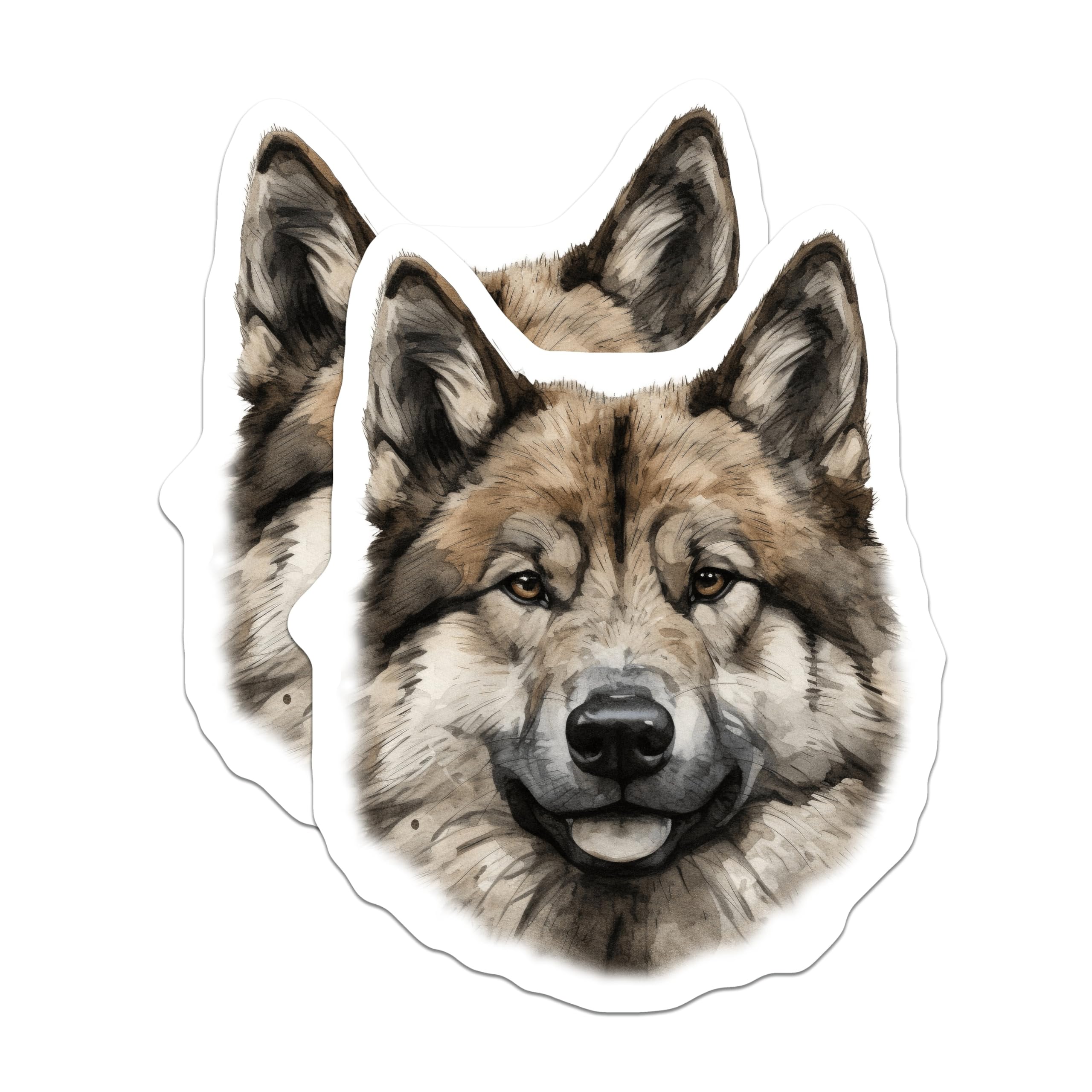 (2 Pack) Watercolor Wolf Husky Magnets - Animal Lover Fridge Decor - Nature Inspired Canine Art - 5 Inches On Longest Side - Thick Durable Magnet - Made in USA - MAG30320
