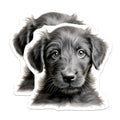 (2 Pack) Fluffy Puppy Magnets - Dog Lover Kitchen Decor - Pet Parent Fridge Accent - 5 Inches On Longest Side - Thick Durable Magnet - Made in USA - MAG30539