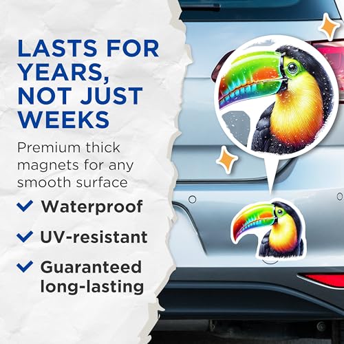 (2 Pack) Colorful Toucan Magnets - Bird Lover - Tropical Wildlife Fridge Magnets - 5" On Longest Side - for Cars, Fridges, Toolboxes - Made in USA - MAG4519
