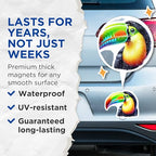 (2 Pack) Colorful Toucan Magnets - Bird Lover - Tropical Wildlife Fridge Magnets - 5" On Longest Side - for Cars, Fridges, Toolboxes - Made in USA - MAG4519