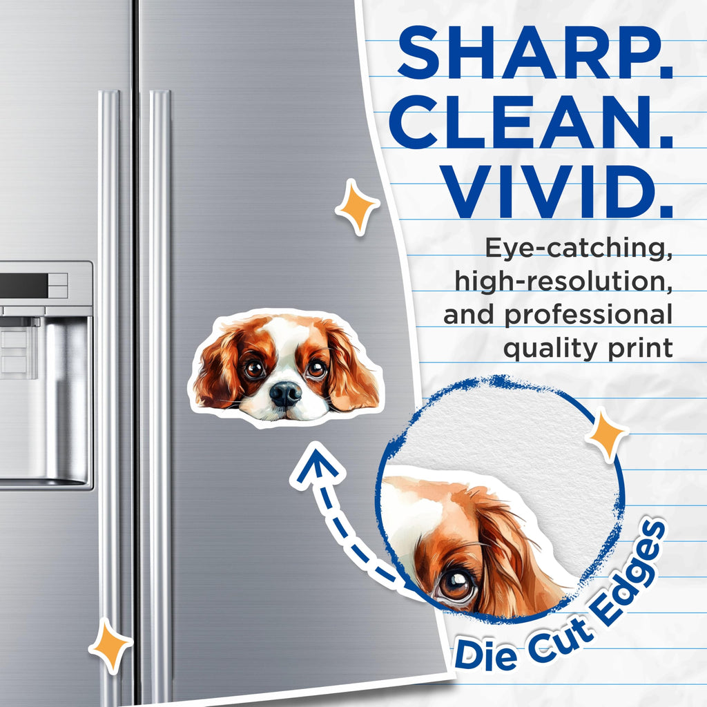 (2 Pack) Cavalier King Charles Spaniel Magnets - Dog Breed Art - Cute Puppy Decor - 5" On Longest Side - Premium Magnet - for Cars, Refrigerators, Toolboxes, Lockers - Made in USA - MAG14262