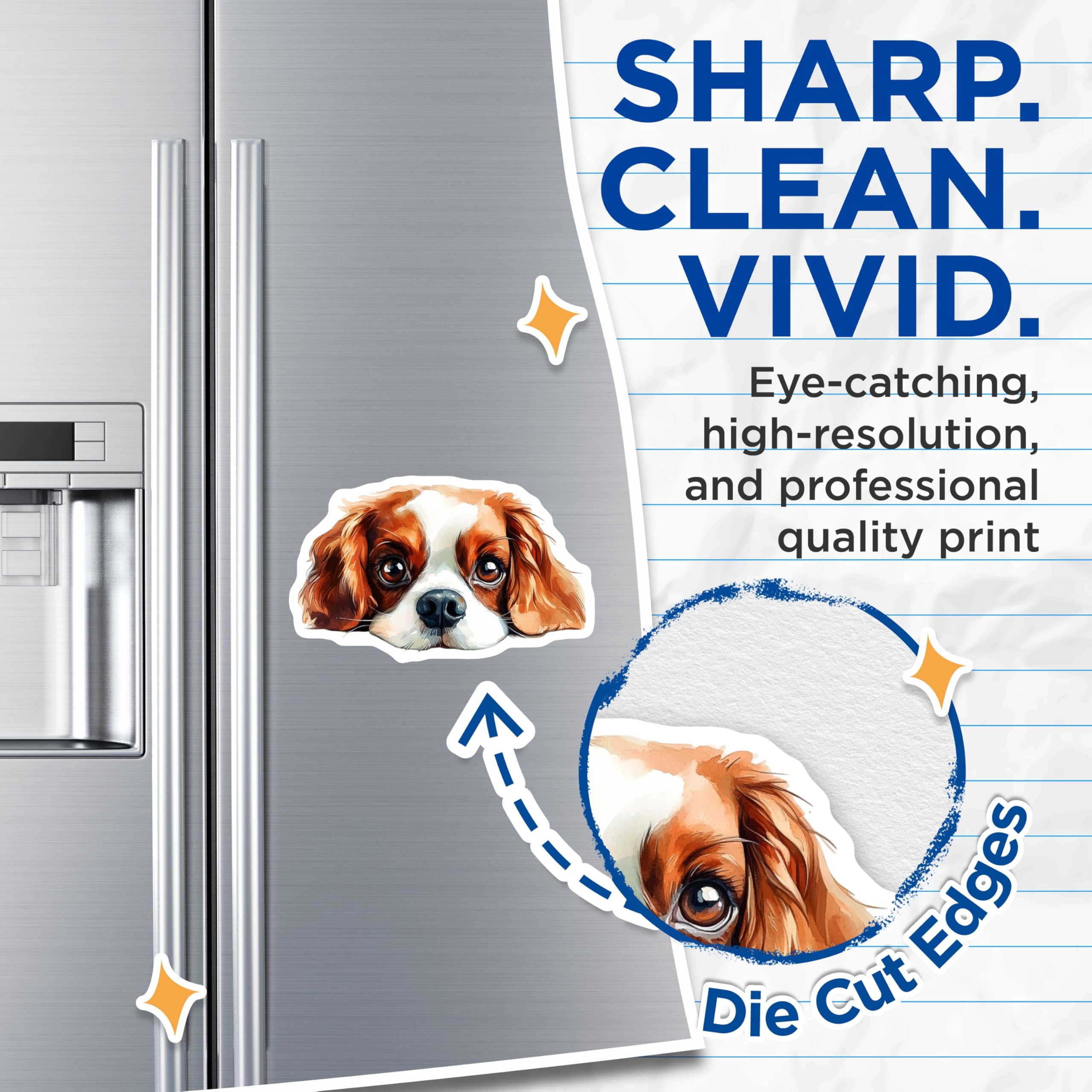 (2 Pack) Cavalier King Charles Spaniel Magnets - Dog Breed Art - Cute Puppy Decor - 5" On Longest Side - Premium Magnet - for Cars, Refrigerators, Toolboxes, Lockers - Made in USA - MAG14262