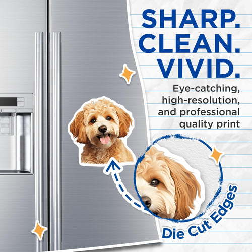 (2 Pack) Adorable Doodle Dog Magnets - Happy Puppy Refrigerator Decor - Pet Owner Kitchen Art - 5 Inches On Longest Side - Thick Durable Magnet - Made in USA - MAG27686