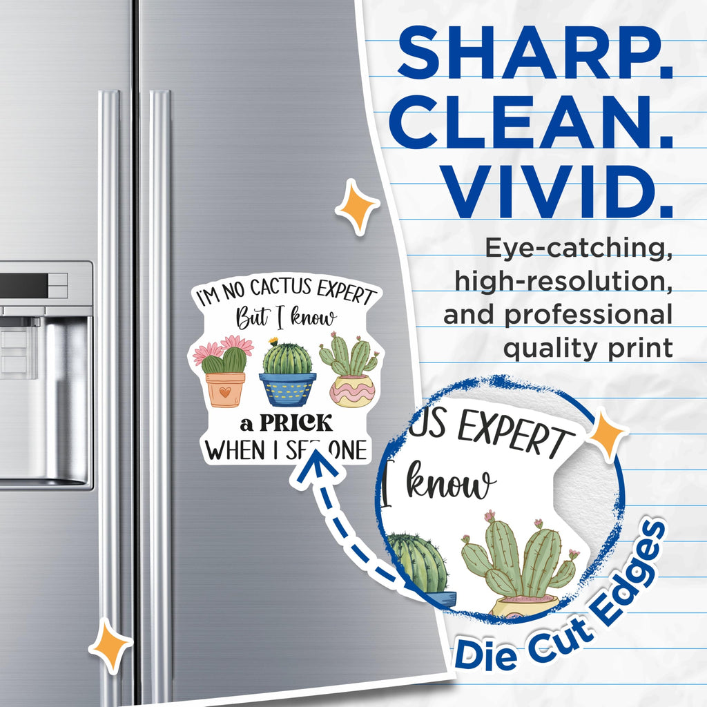 (2 Pack) Funny Cactus Magnets - Sarcastic Prick Humor - Plant Lover Refrigerator Decor - 5" On Longest Side - Premium Magnet - for Cars, Refrigerators, Toolboxes, Lockers - Made in USA - MAG18487