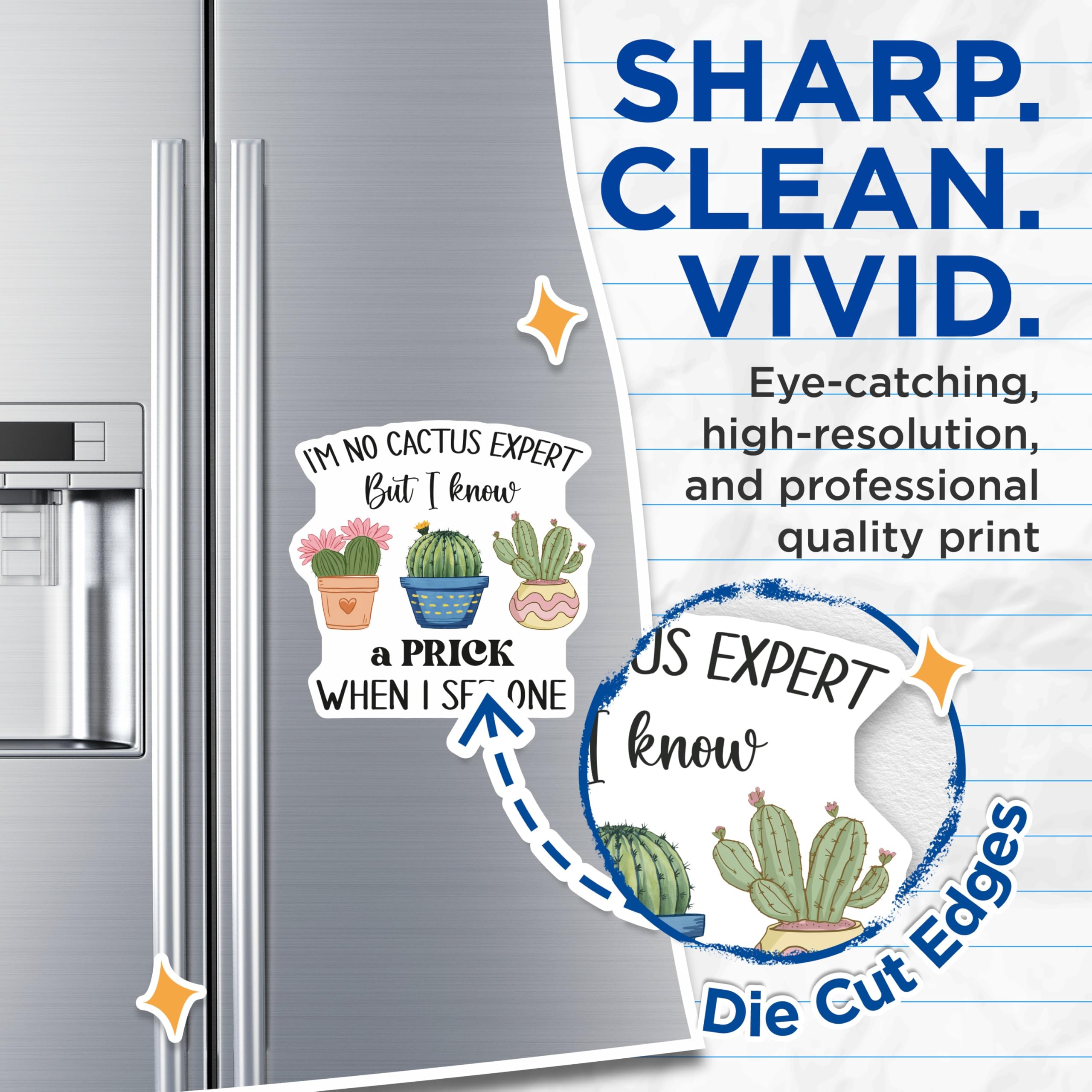 (2 Pack) Funny Cactus Magnets - Sarcastic Prick Humor - Plant Lover Refrigerator Decor - 5" On Longest Side - Premium Magnet - for Cars, Refrigerators, Toolboxes, Lockers - Made in USA - MAG18487